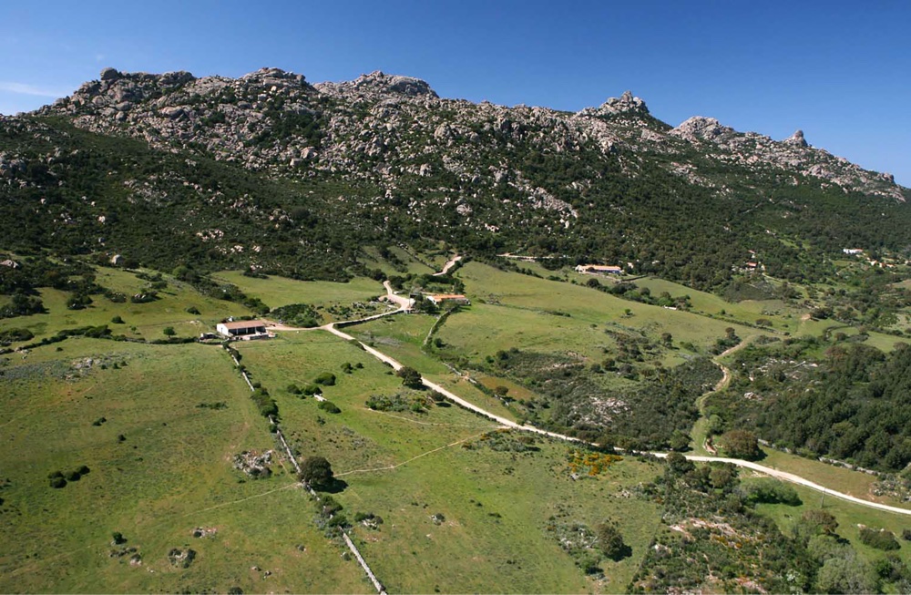 La Cerra Alta Gallura